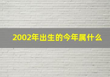 2002年出生的今年属什么