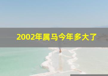 2002年属马今年多大了