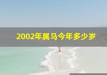 2002年属马今年多少岁