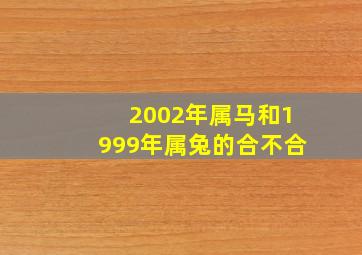 2002年属马和1999年属兔的合不合