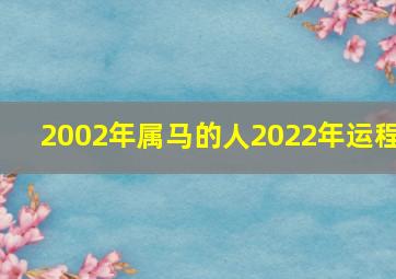 2002年属马的人2022年运程