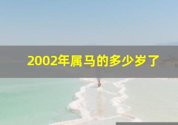 2002年属马的多少岁了