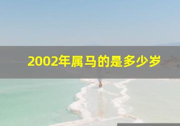 2002年属马的是多少岁