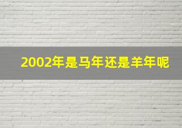 2002年是马年还是羊年呢