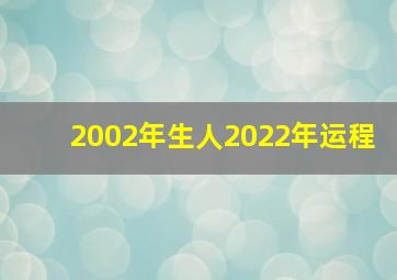 2002年生人2022年运程