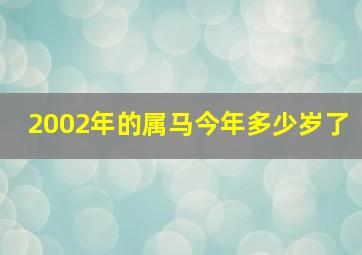 2002年的属马今年多少岁了