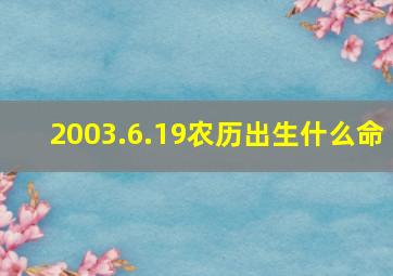 2003.6.19农历出生什么命