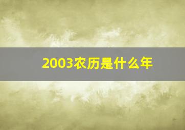 2003农历是什么年