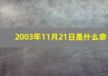 2003年11月21日是什么命