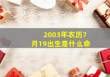 2003年农历7月19出生是什么命