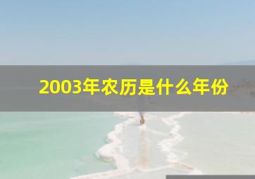 2003年农历是什么年份