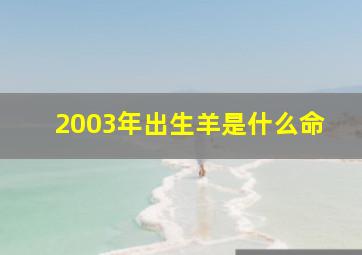 2003年出生羊是什么命