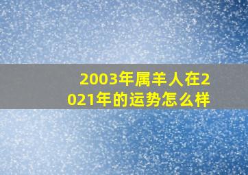 2003年属羊人在2021年的运势怎么样