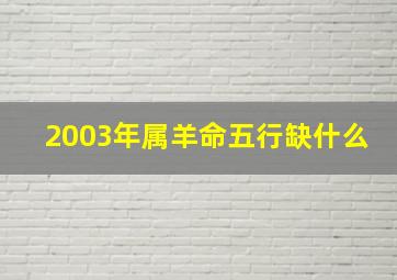 2003年属羊命五行缺什么