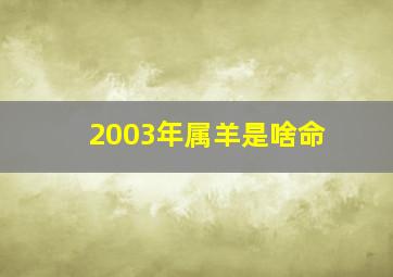 2003年属羊是啥命