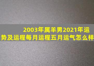 2003年属羊男2021年运势及运程每月运程五月运气怎么样