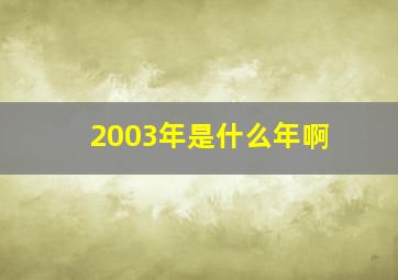 2003年是什么年啊