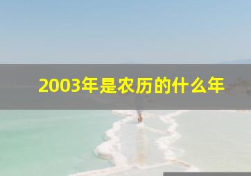 2003年是农历的什么年