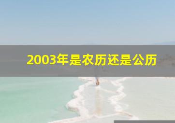 2003年是农历还是公历