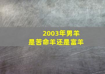 2003年男羊是苦命羊还是富羊