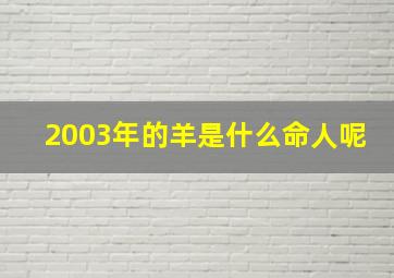 2003年的羊是什么命人呢