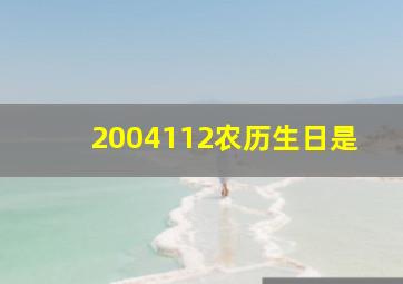 2004112农历生日是