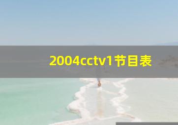 2004cctv1节目表