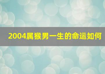 2004属猴男一生的命运如何