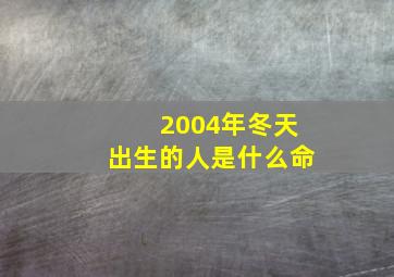 2004年冬天出生的人是什么命