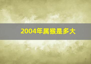 2004年属猴是多大