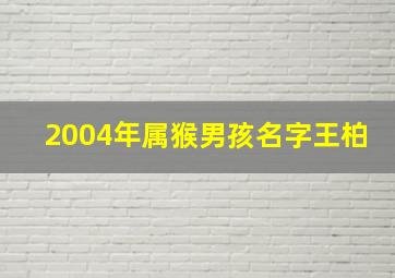 2004年属猴男孩名字王柏