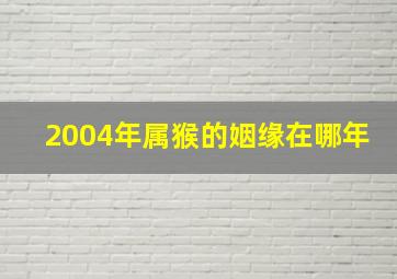 2004年属猴的姻缘在哪年