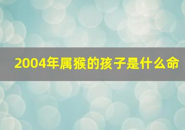 2004年属猴的孩子是什么命