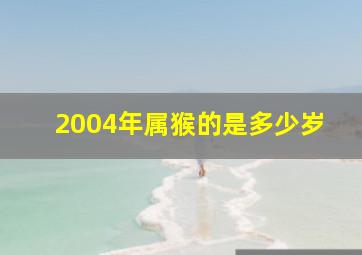 2004年属猴的是多少岁