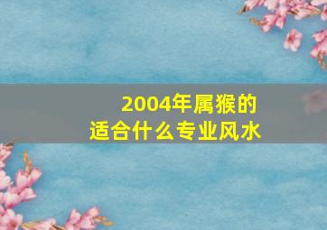 2004年属猴的适合什么专业风水