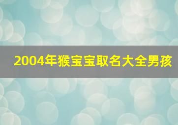 2004年猴宝宝取名大全男孩