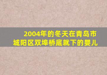 2004年的冬天在青岛市城阳区双埠桥底就下的婴儿