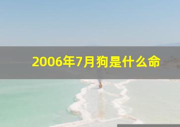 2006年7月狗是什么命