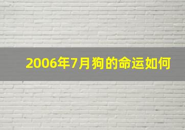 2006年7月狗的命运如何