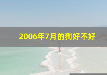 2006年7月的狗好不好