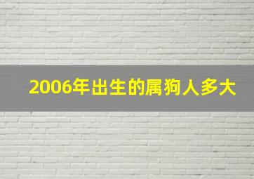 2006年出生的属狗人多大