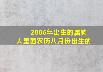 2006年出生的属狗人里面农历八月份出生的