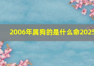 2006年属狗的是什么命2025