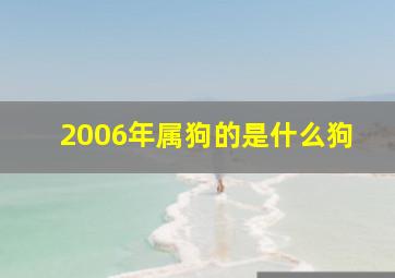 2006年属狗的是什么狗