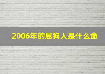 2006年的属狗人是什么命