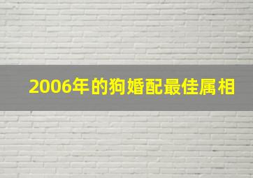 2006年的狗婚配最佳属相