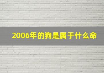 2006年的狗是属于什么命