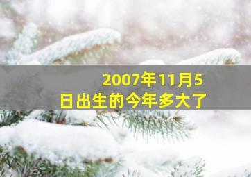 2007年11月5日出生的今年多大了