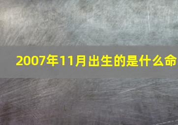 2007年11月出生的是什么命