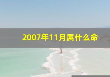 2007年11月属什么命